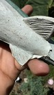 Bild 4 von 6