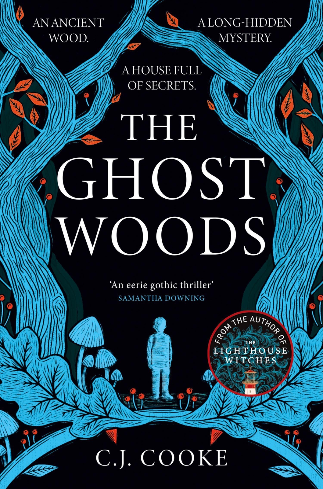 Thumbnail - The Ghost Woods | C. J. Cooke | Englisch | Taschenbuch | Kartoniert /