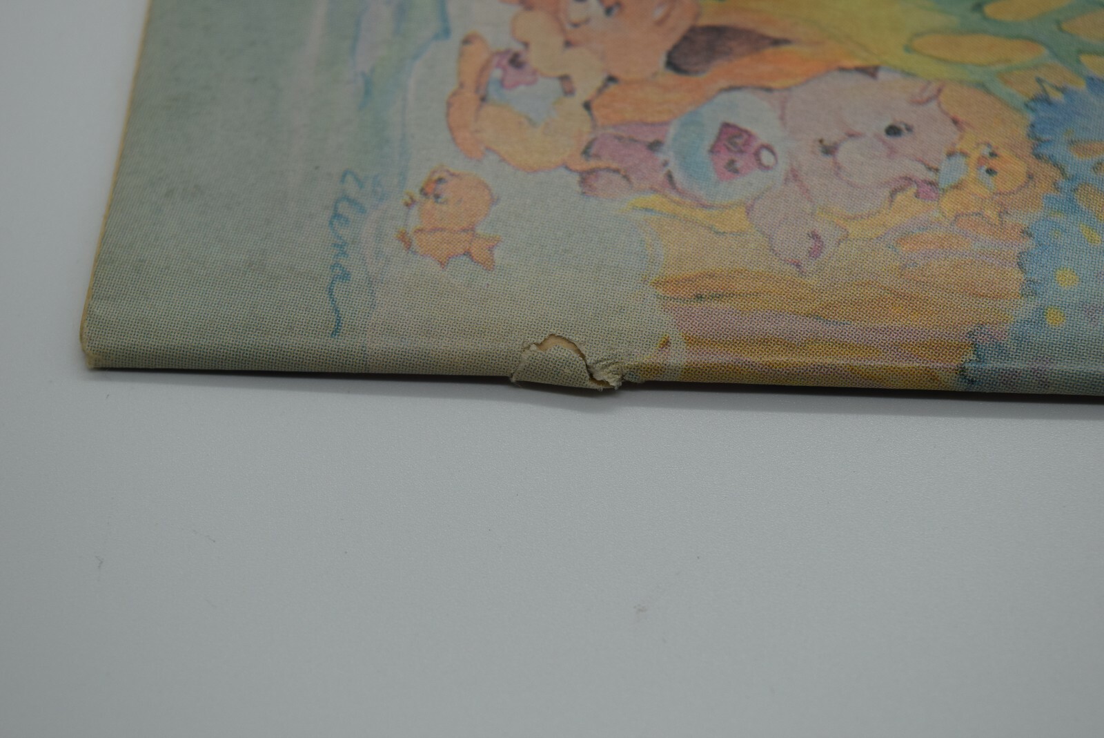 Picture 3 of 5