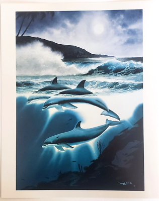 Blu-ray『コロンブス 永遠の海』 Amazon.co.jp: コロンブス 永遠の海 [DVD] : リカルド・トレパ