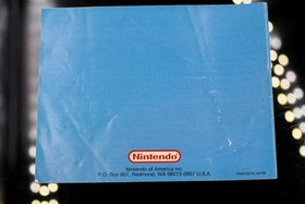 NO GAME- Authentic Manual ONLY! Nintendo NES TO THE EARTH