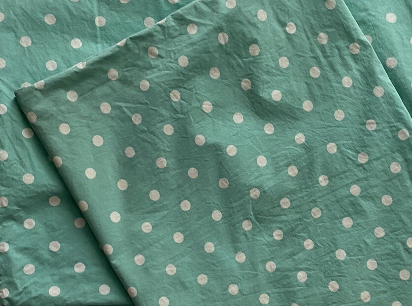 Pottery Barn Teen 2 Standard Pillow Cases. Turquoise With White Polka