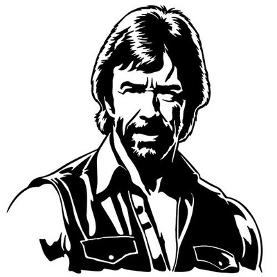 Chuck Norris sticker VINYL DECAL Lone Wolf McQuade Walker Texas Ranger