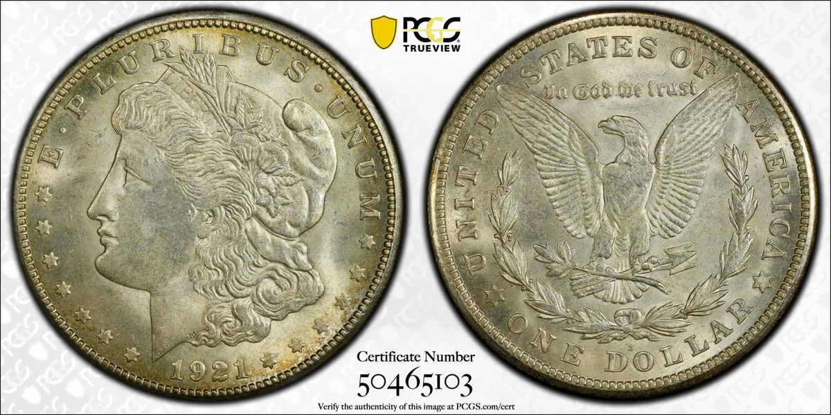 世界２位　PCGS-MS65 1921 ドイツ マイセン 彩色白色陶製メダル PCGS Certified MS 65 Graded 1921 Year Morgan US Dollars (1878-1921
