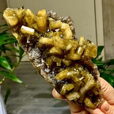 1.56LB Shiny Golden Cuboid Barite Crystal Based on the Purple Spherical Fluorite