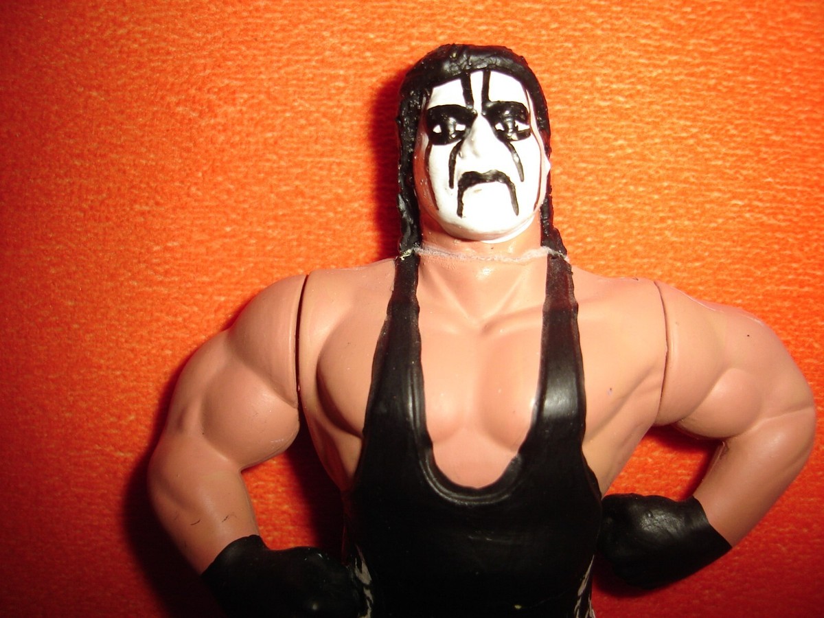 貴重！1点モノ　WWE WCW TNA　新日　スティング　コスチュームカスタム 貴重！1点モノ WWE WCW TNA 新日 スティング コスチュームカスタム