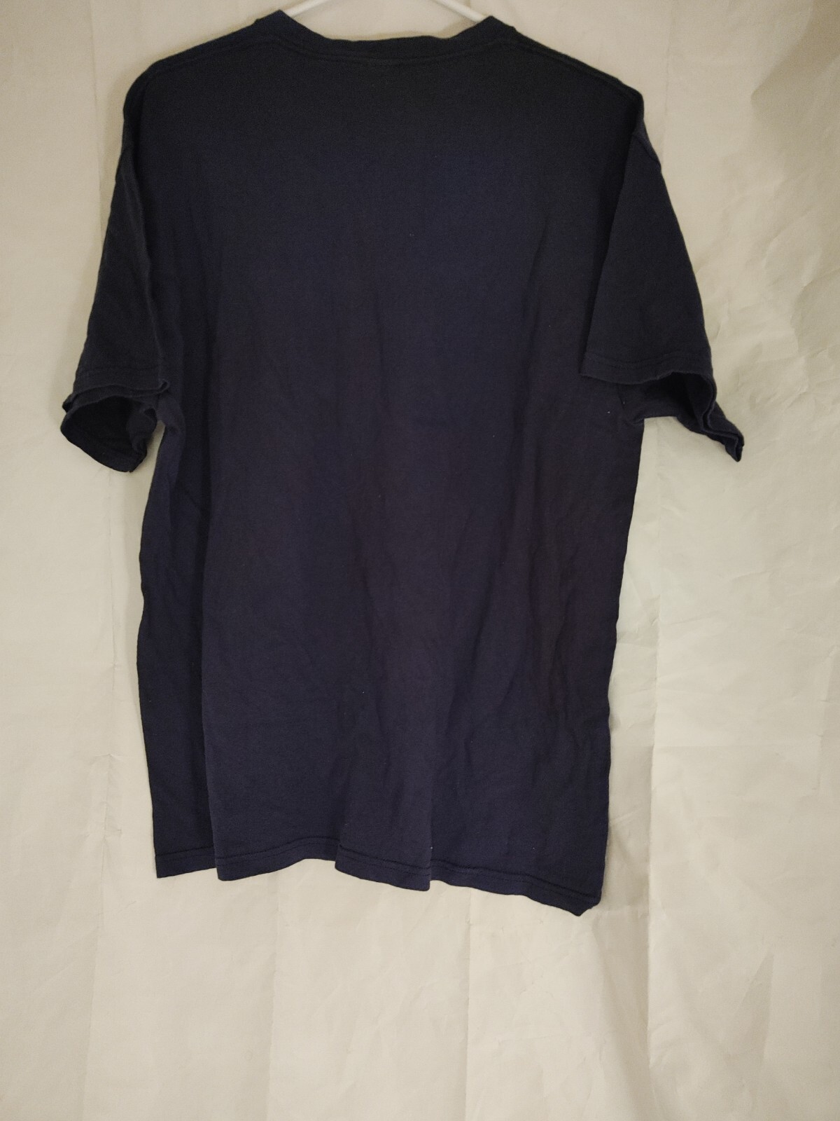 Colorado Pikes Peak Mens Sz Large Blue T Shirt