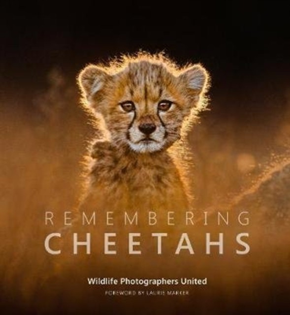 Remembering Cheetahs (Hardback Book) - Image 5
