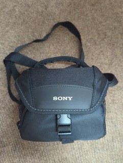 custodia fotocamera sony alfa zv e10 solo la custodia per il trasporto