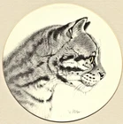 VIGINIA MILLER  "CAT PRINT"  ~ (CHARCOAL DRAWING) ~  **(VINTAGE SIGNED PRINT)**