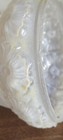 Antique Art Nouveau Arts Crafts Floral Glass Lamp Light Shade, 1920's — photo 9