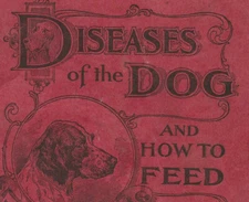1897 Diseases of the Dog And How To Feed-H Clay Glover-Veterinary-Lewiston Maine