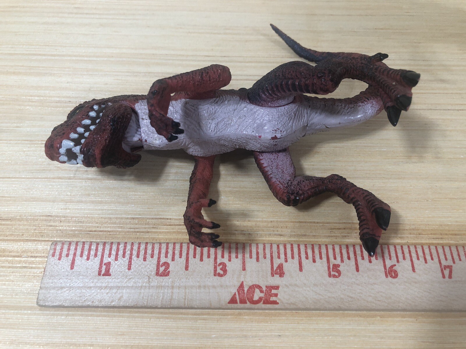 Picture 10 of 12