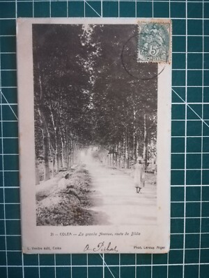 HH092 CPA BE FOTO Algerien 1902 Coler - la grande avenue route de Blida