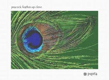 Peacock Feather Up Close Needlepoint Kit or Canvas