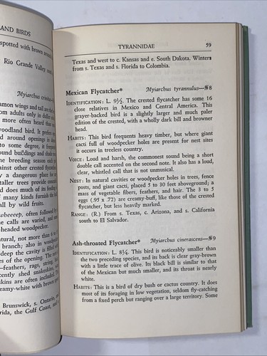 Vtg 1949 Book Audubon Land Bird Guide Birds of Eastern Land Birds - Picture 14 of 19