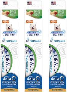 nylabone dog toothpaste