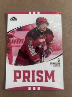 Cardiff Devils Blindside Trading Cards. 2025/26. SERIES 2. PR4. Estes.