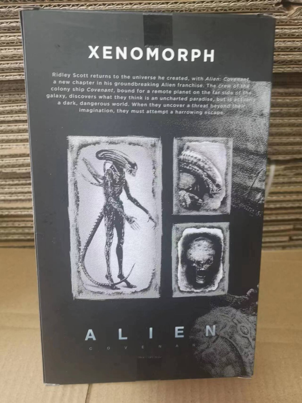 Aliens Covenant Xenomorph Warrior 7" Action Figure 1:12 Desktop Decor ...