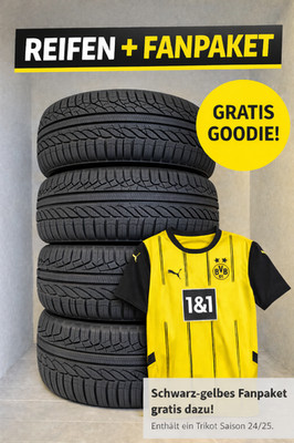 4x Ganzjahresreifen (1 Satz) 235/60 R16 100H NEU GRATIS BVB TRIKOT 2356016 100H