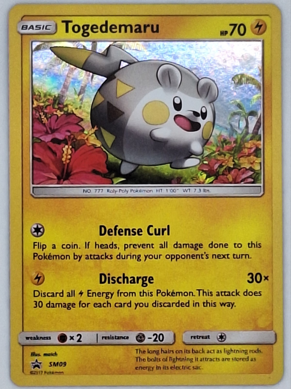Togedemaru SM09 Pokemon - Holo Black Star Promo MP