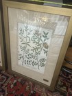 Pair of framed botanical prints depicting various herb and plant species - 1700s — photo 2