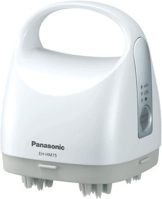 Panasonic Eh-hm75-s Head Spa Scalp Aethetic Massager Silver Tone