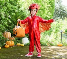 FLASH SALE  Pottery Barn KIds Red Metallic Dragon Kids Halloween Costume