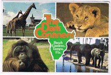 Postcard The Dark Continent Busch Gardens Tampa Florida