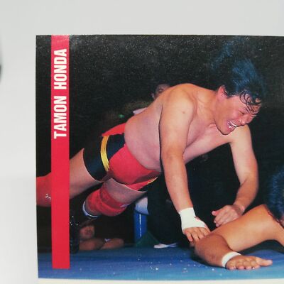 51 TAMON HONDA ALL Japan Pro WREITLING CARD BBM96 1996 JAPAN TCG