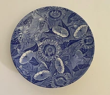 SPODE Jumbo SUNFLOWER Saucer The Blue Room Collection NEW