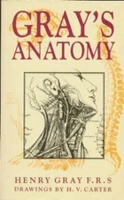 Grays Anatomy - Paperback By Gray, Henry - GOOD
