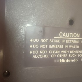 The Immortal (Nintendo Entertainment System, 1990) NES Video Game Tested Works