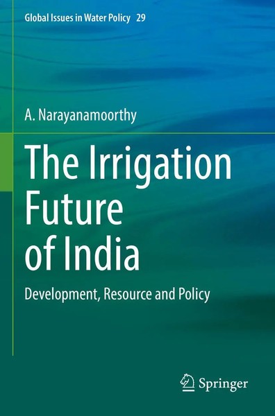 A. Narayanamoorthy | The Irrigation Future Of India | Taschenbuch | Englisch-image
