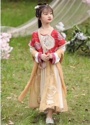 Girl Chinese Cute Dress Sheer Floral Embroidered Hanfu Tang Suit Fairy |  eBay