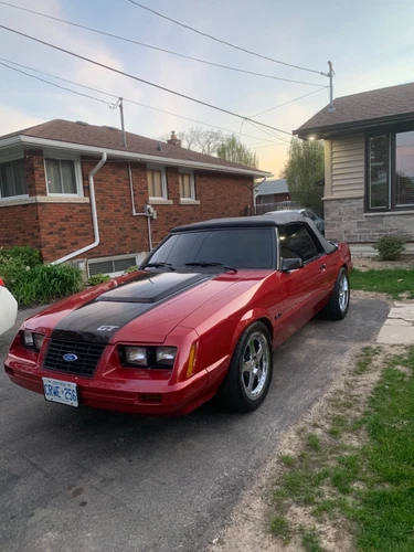 Ford: Mustang
