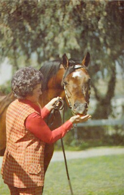 1969 Arabian Stallion HOrse Advertising FADJUR 7668 24985-d Mint #1 Postcard N69