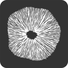 Gorilla Mushrooms™ | eBay Stores