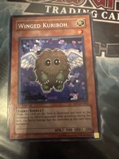 Yu-Gi-Oh TCG Winged Kuriboh Duelist Pack 1: Jaden Yuki DP1-EN005 Rare 1st NM/LP