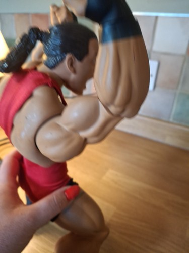 JAKKS WWE RING GIANTS ROB VAN DAM 14" AZIONE POSABILE sciolto 2006 - Foto 19 di 24