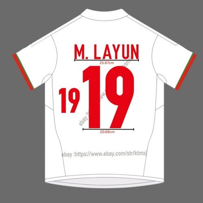 2013 Mexico Third Name Set Miguel Layun #19 Heat Transfer Patch Custom Print