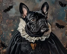 8x10 Matte Print French Bulldog Dressed as Vampire