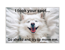 Funny Samoyed Flexible Refrigerator Magnet