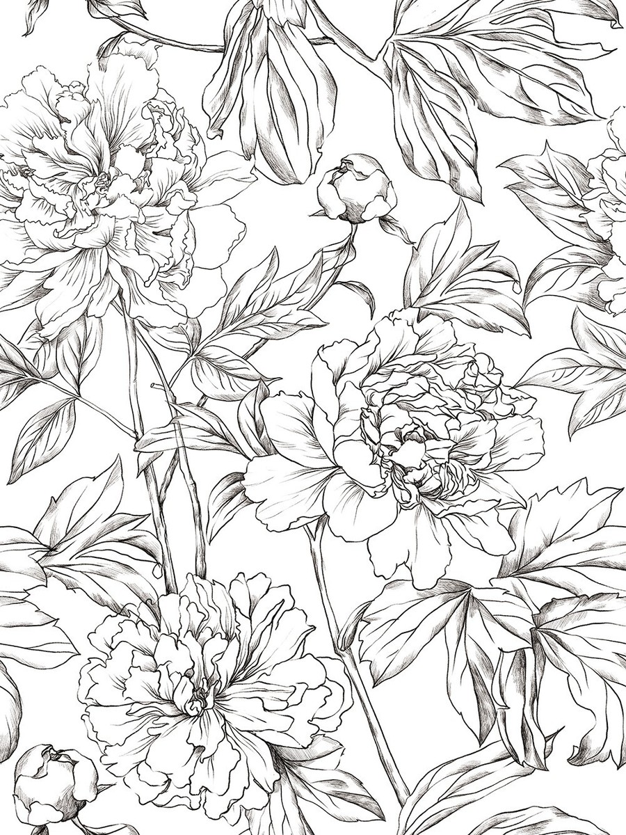 Black And White Floral Peel And Stick Wallpaper
