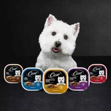 CESAR Loaf in Sauce Beef Chicken Variety Pack Adult Wet Dog Food 3.5oz/36ct