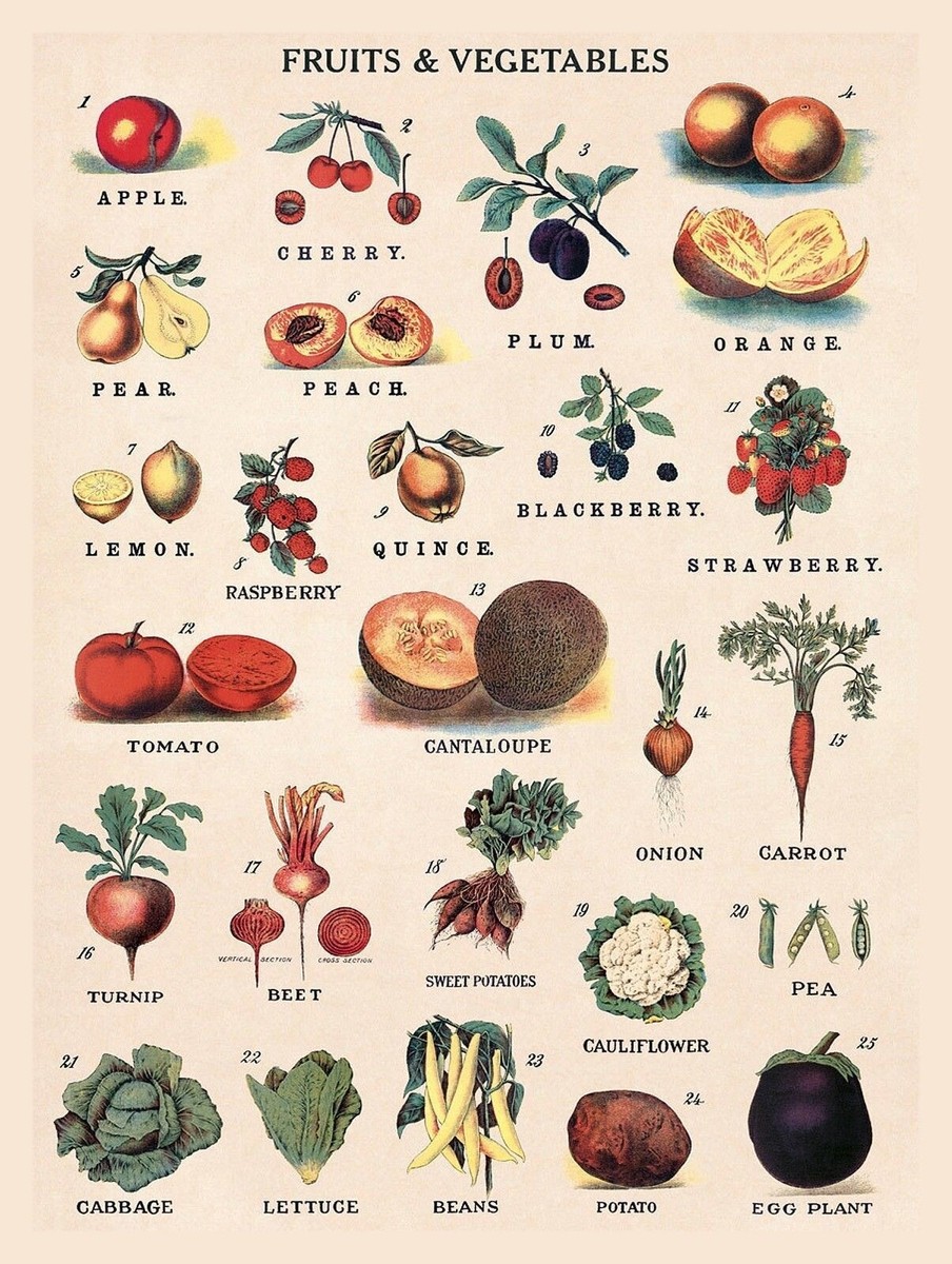 Vintage ＊ gem fruits ＆ vegetable Fruits And Vegetables METAL VINTAGE RETRO SHABBY-CHIC SIGN