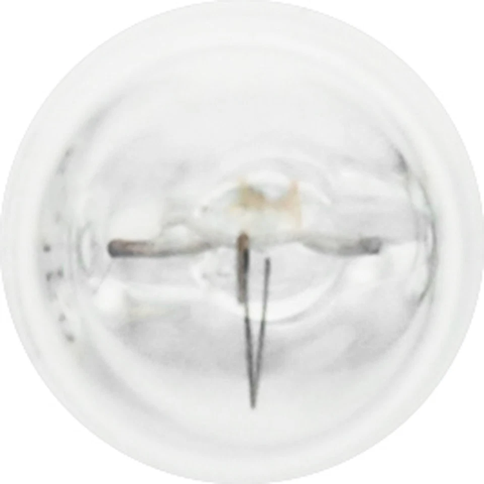 Bombilla miniatura básica SYLVANIA 161, (contiene 10 bombillas) Foto 3 de 4