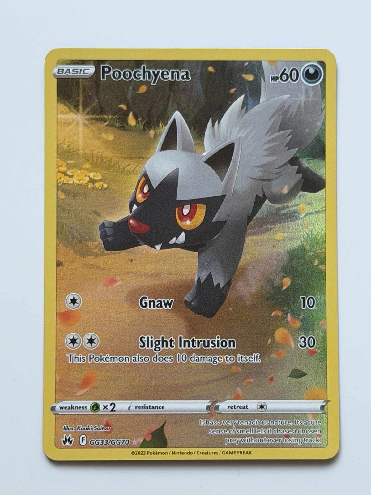 Pokemon Poochyena GG33/GG70 Pokemon SWSH: Crown Zenith Galarian Gallery