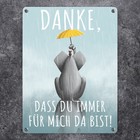 Bild 2 von 30