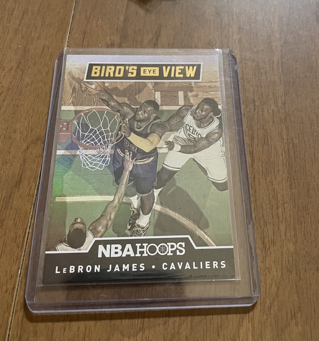 Lebron James 2015-16 Paninj Hoops Birds Eye View